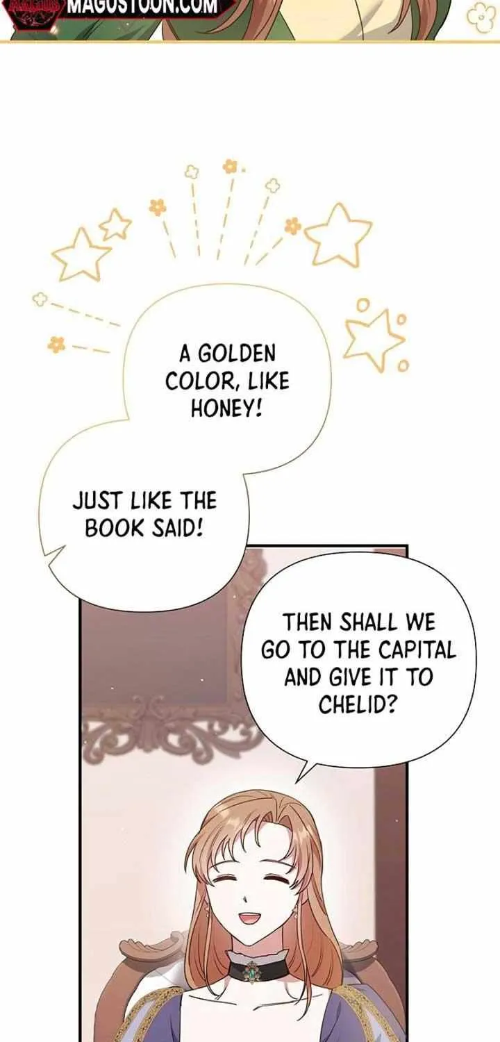 The Male Lead’s Handsomeness Is a Big Problem Chapter 37 page 34 - 