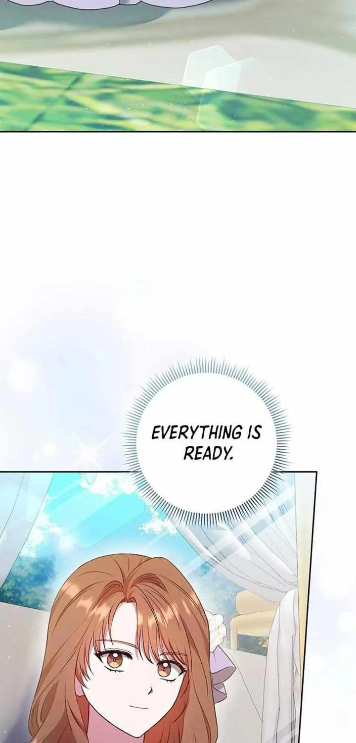 The Male Lead’s Handsomeness Is a Big Problem Chapter 37 page 73 - 
