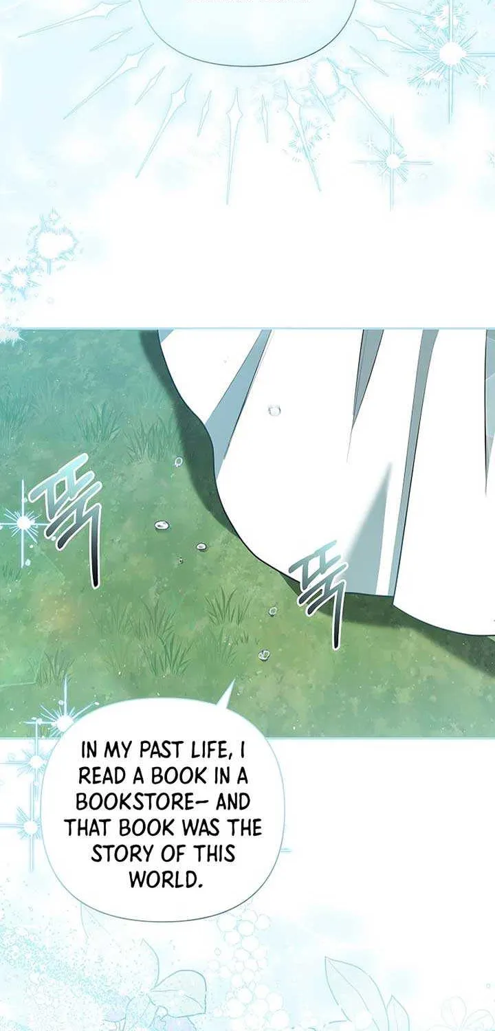 The Male Lead’s Handsomeness Is a Big Problem Chapter 41 page 64 - 