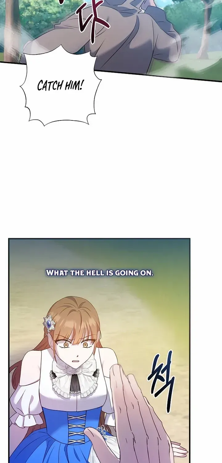 The Male Lead’s Handsomeness Is a Big Problem Chapter 47 page 67 - 