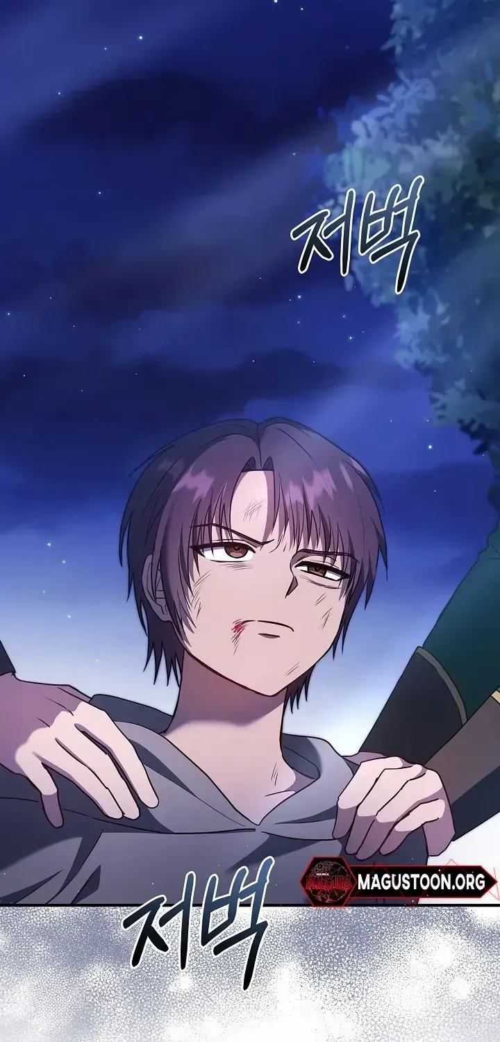 The Male Lead’s Handsomeness Is a Big Problem Chapter 48 page 19 - 