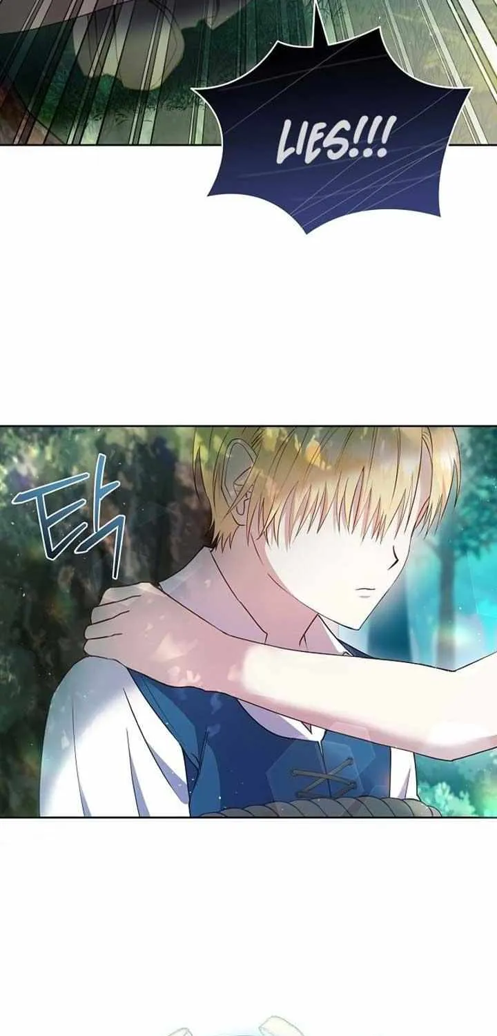 The Male Lead’s Handsomeness Is a Big Problem Chapter 5 page 40 - 