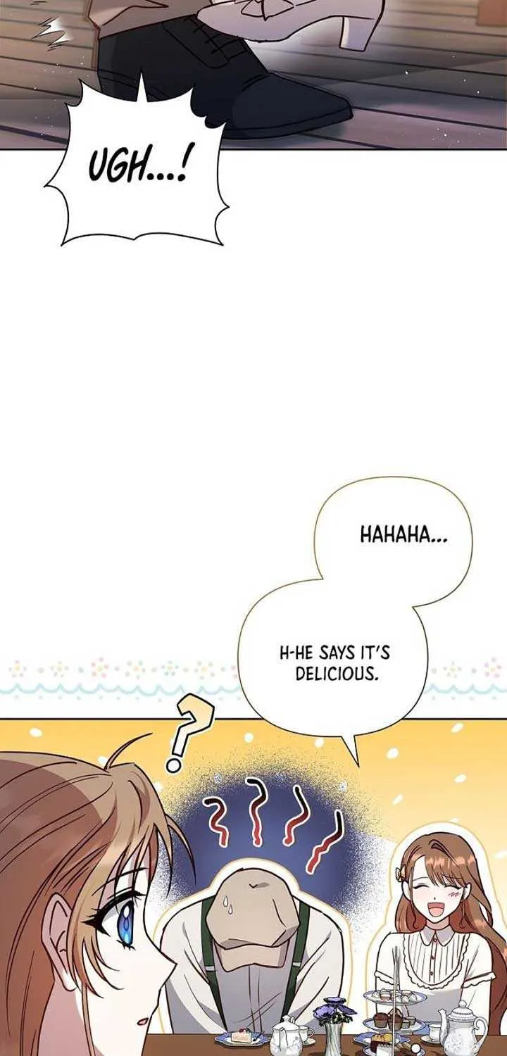 The Male Lead’s Handsomeness Is a Big Problem Chapter 8 page 27 - 