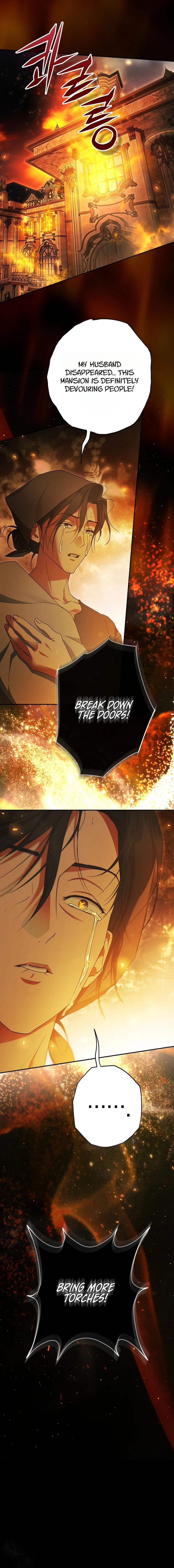 The Male Leads Were Stolen by the Extra Chapter 100 page 3 - 