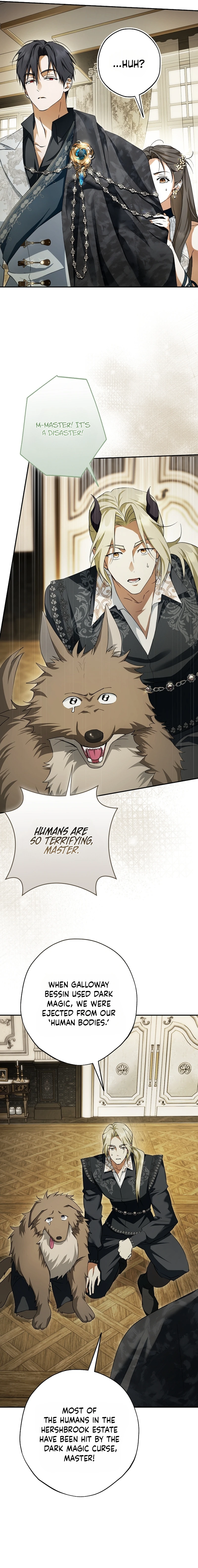 The Male Leads Were Stolen by the Extra Chapter 100 page 21 - 