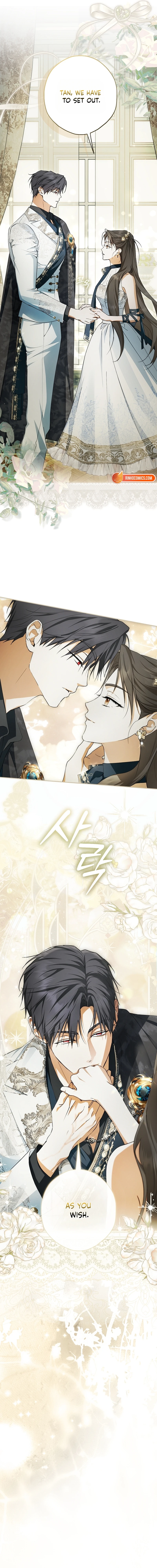 The Male Leads Were Stolen by the Extra Chapter 100 page 23 - 