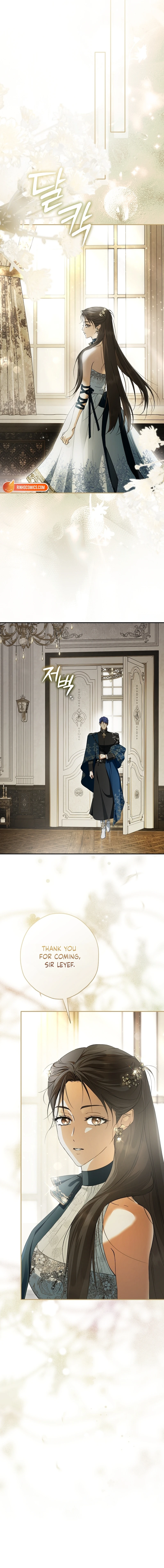 The Male Leads Were Stolen by the Extra Chapter 100 page 7 - 