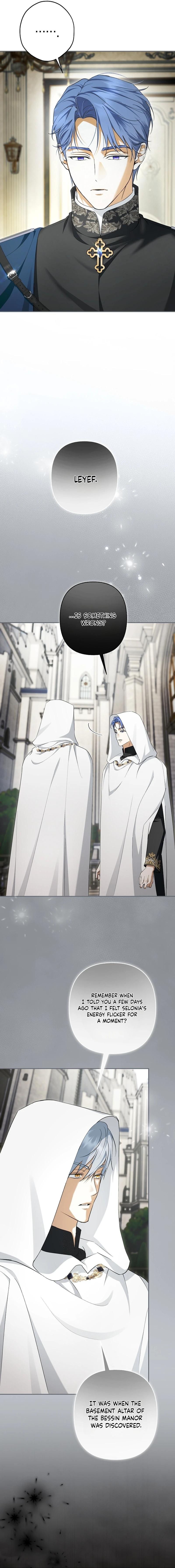 The Male Leads Were Stolen by the Extra Chapter 100 page 8 - 