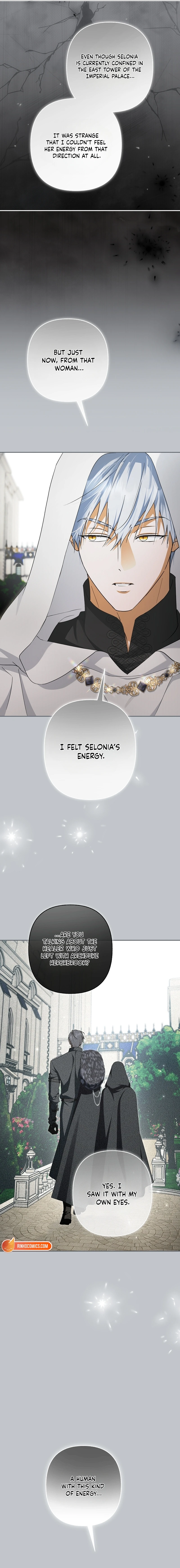 The Male Leads Were Stolen by the Extra Chapter 100 page 9 - 