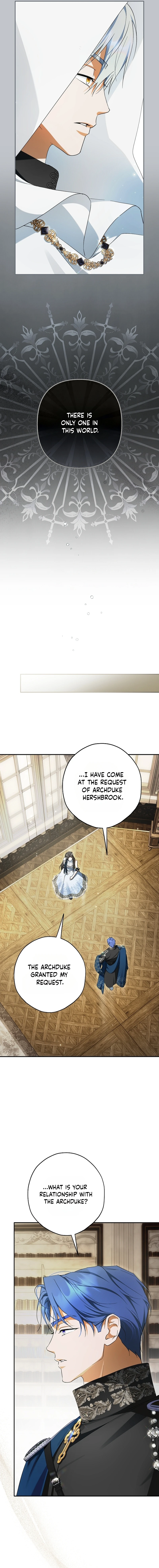 The Male Leads Were Stolen by the Extra Chapter 100 page 10 - 
