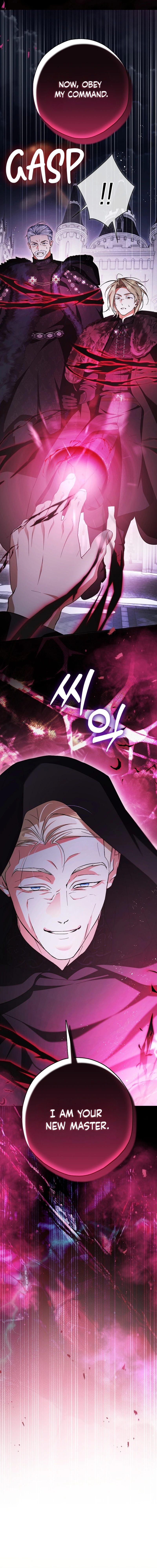 The Male Leads Were Stolen by the Extra Chapter 101 page 9 - 