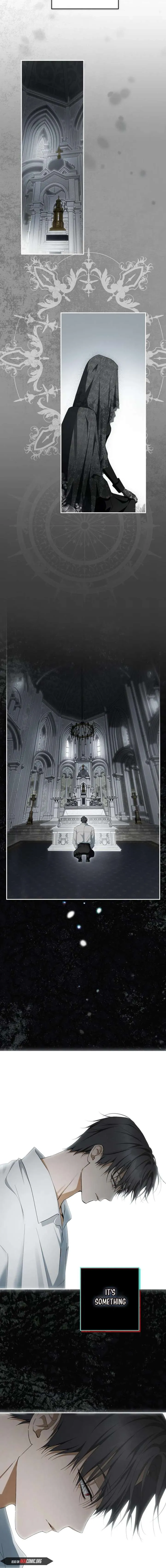 The Male Leads Were Stolen by the Extra Chapter 88 page 17 - 