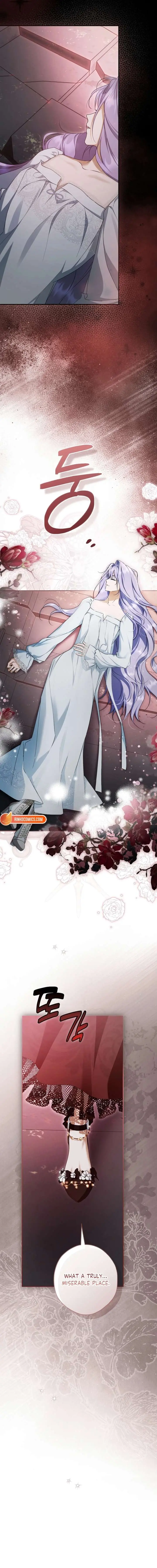 The Male Leads Were Stolen by the Extra Chapter 89 page 11 - 