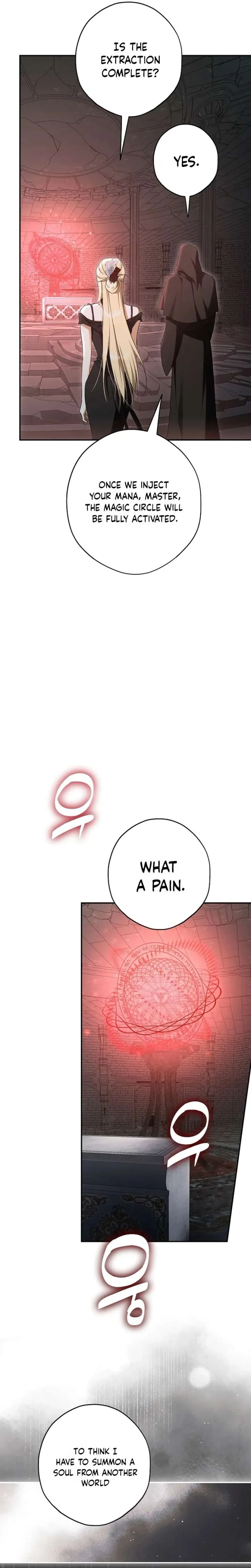 The Male Leads Were Stolen by the Extra Chapter 89 page 13 - 