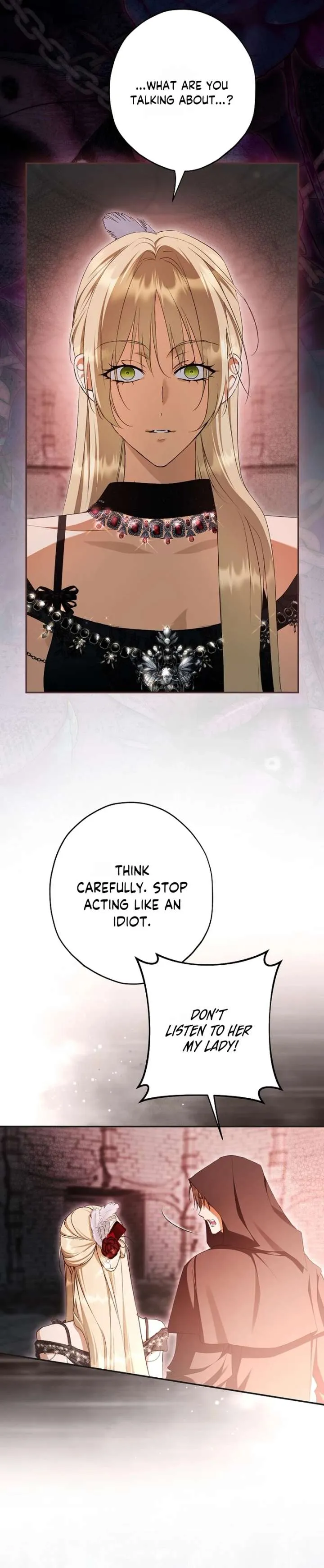 The Male Leads Were Stolen by the Extra Chapter 89 page 20 - 