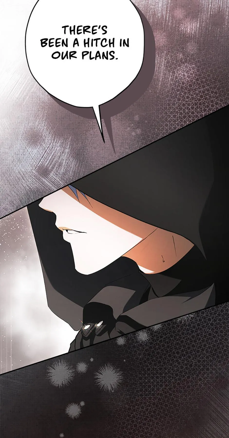The Male Leads Were Stolen by the Extra Chapter 91 page 10 - 