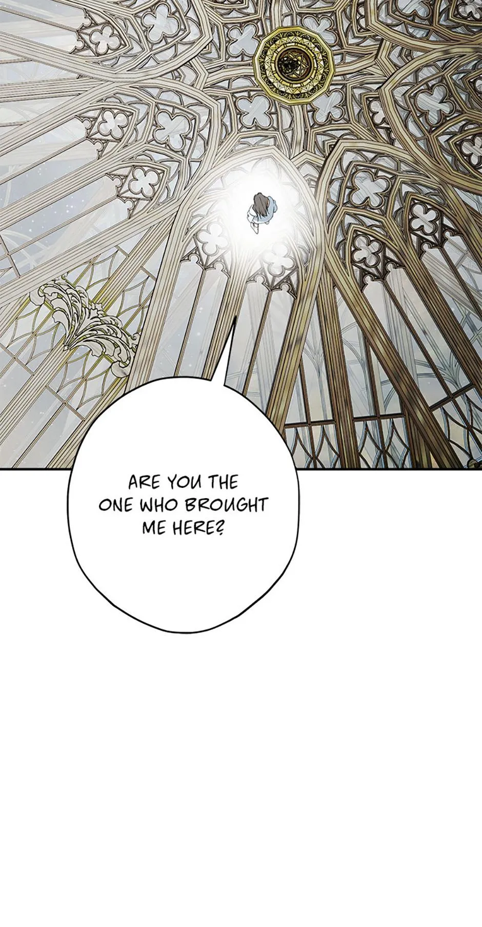 The Male Leads Were Stolen by the Extra Chapter 92 page 32 - 