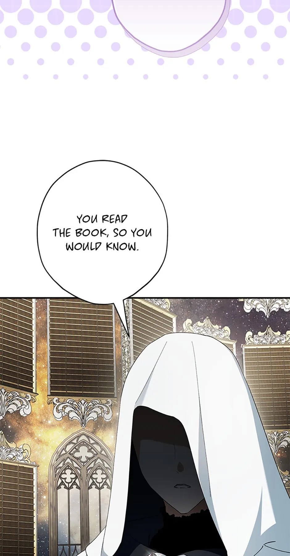 The Male Leads Were Stolen by the Extra Chapter 92 page 39 - 