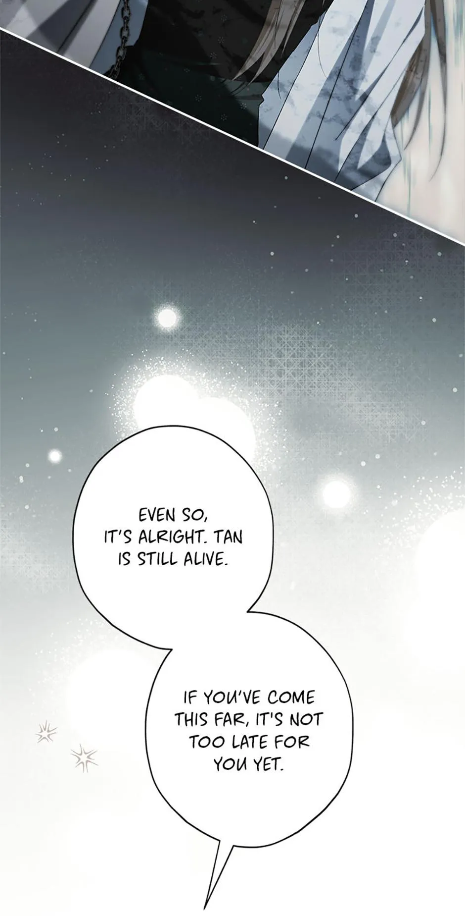 The Male Leads Were Stolen by the Extra Chapter 92 page 84 - 