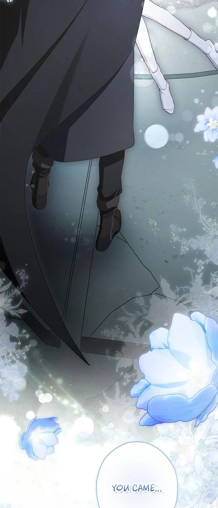 The Male Leads Were Stolen by the Extra Chapter 93 page 19 - 