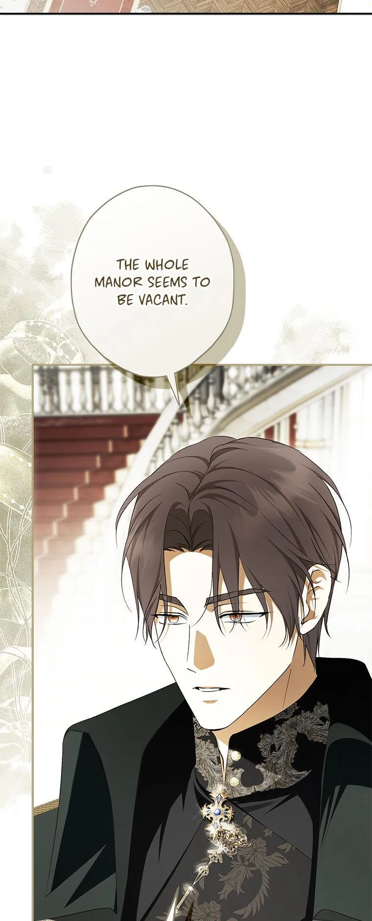 The Male Leads Were Stolen by the Extra Chapter 93 page 29 - 