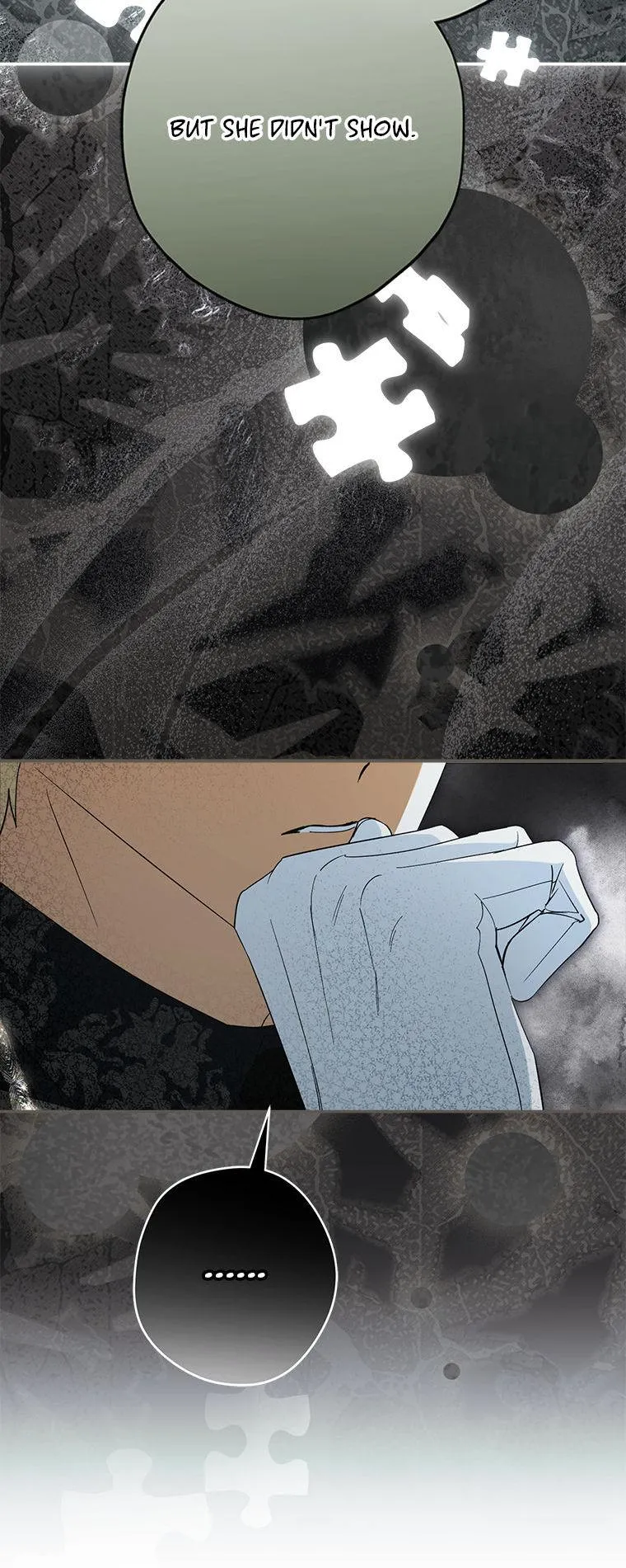 The Male Leads Were Stolen by the Extra Chapter 93 page 36 - 
