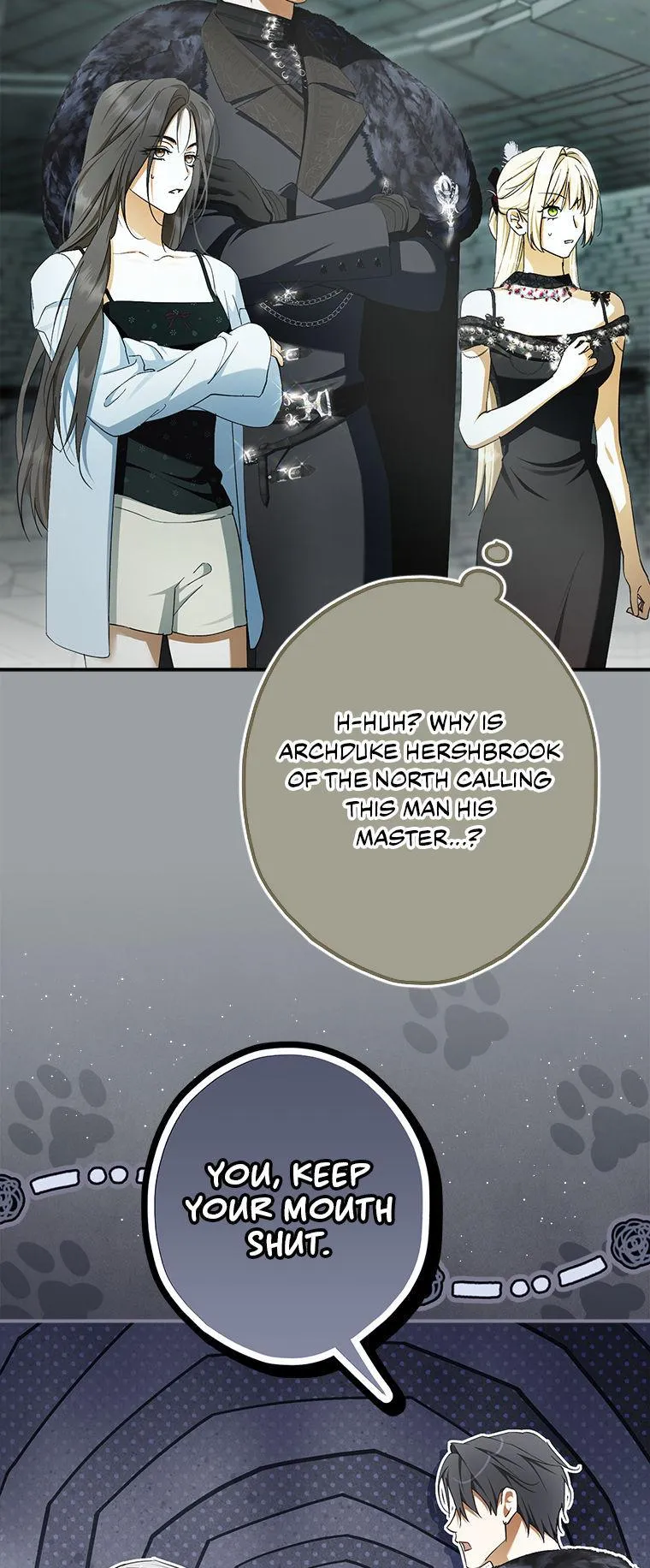 The Male Leads Were Stolen by the Extra Chapter 93 page 52 - 