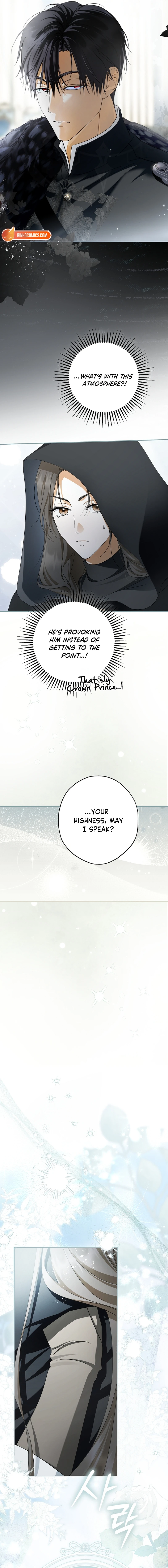 The Male Leads Were Stolen by the Extra Chapter 95 page 19 - 
