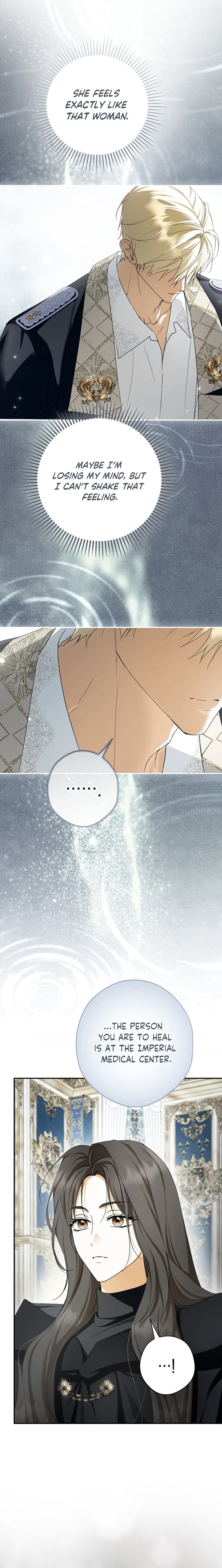The Male Leads Were Stolen by the Extra Chapter 95 page 22 - 