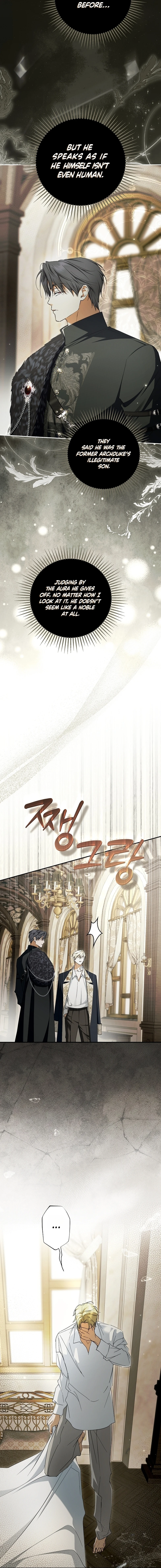 The Male Leads Were Stolen by the Extra Chapter 96 page 16 - 