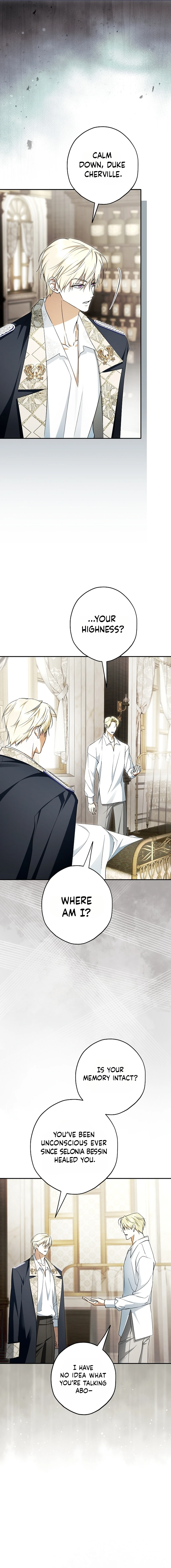 The Male Leads Were Stolen by the Extra Chapter 96 page 17 - 
