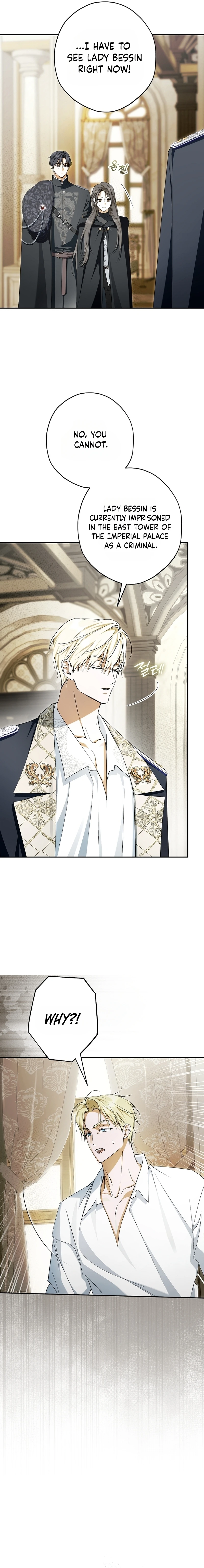 The Male Leads Were Stolen by the Extra Chapter 96 page 19 - 