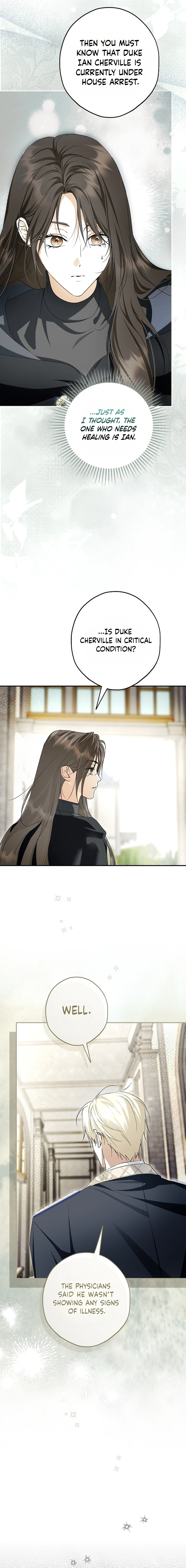 The Male Leads Were Stolen by the Extra Chapter 96 page 3 - 
