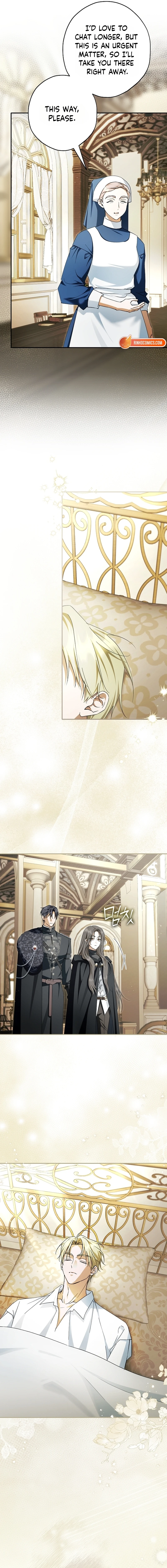 The Male Leads Were Stolen by the Extra Chapter 96 page 8 - 