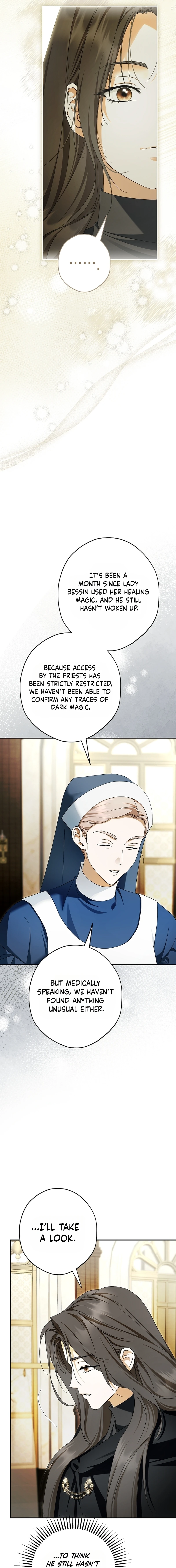 The Male Leads Were Stolen by the Extra Chapter 96 page 9 - 