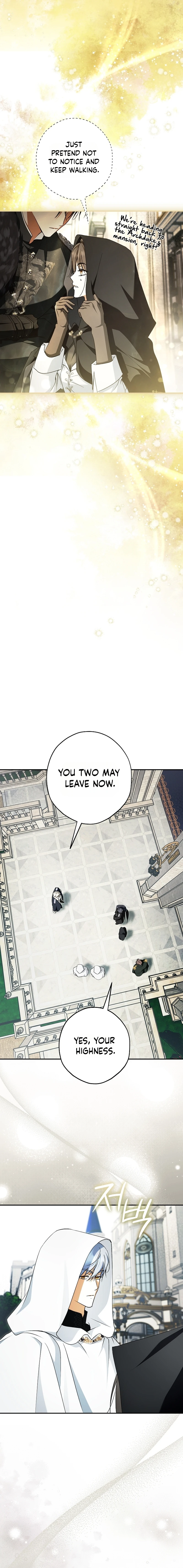 The Male Leads Were Stolen by the Extra Chapter 97 page 10 - 