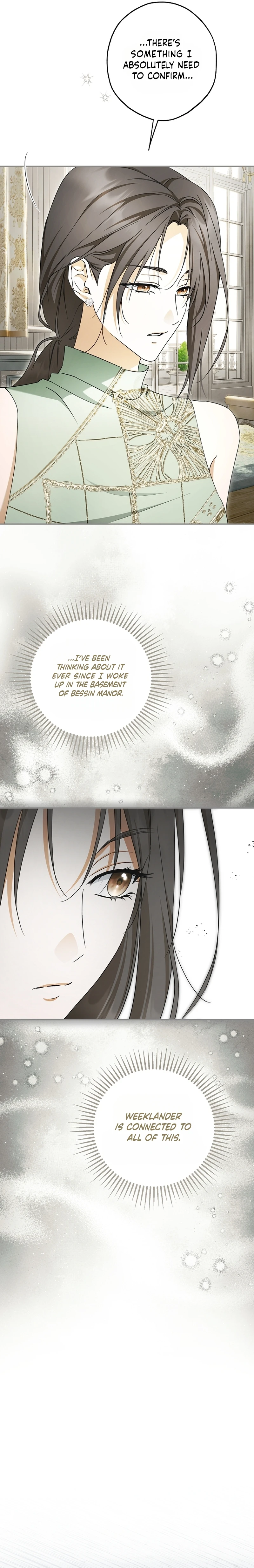 The Male Leads Were Stolen by the Extra Chapter 98 page 12 - 