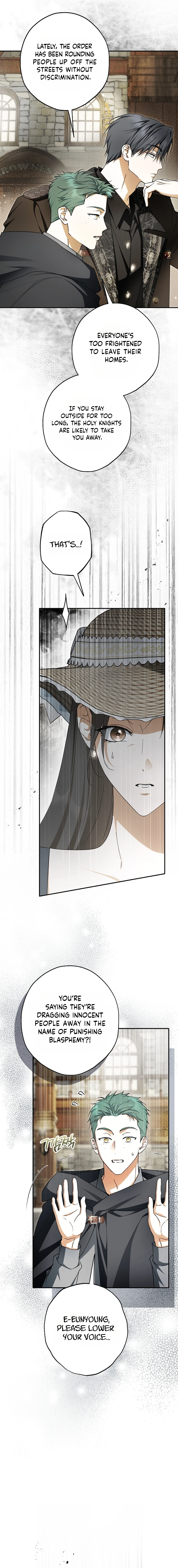 The Male Leads Were Stolen by the Extra Chapter 98 page 17 - 