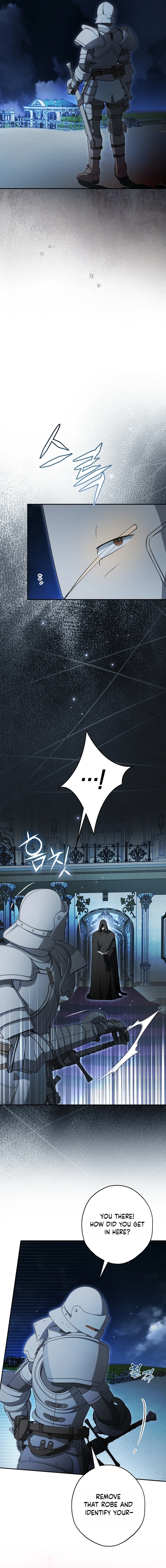 The Male Leads Were Stolen by the Extra Chapter 98 page 4 - 