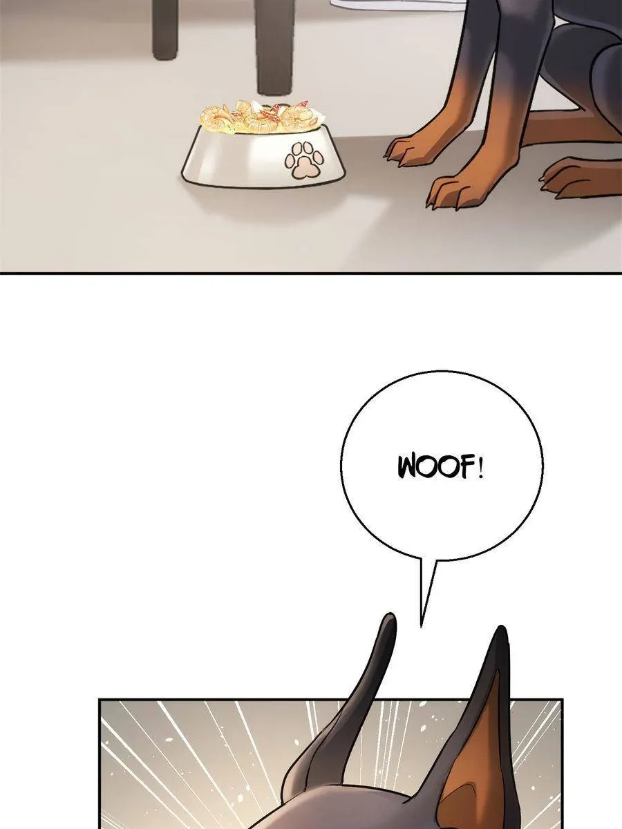 The Man Is A Real Dog Chapter 11 page 30 - 