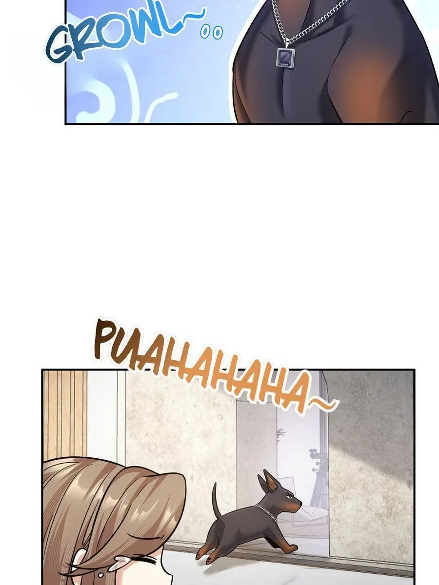 The Man Is A Real Dog Chapter 11 page 41 - 