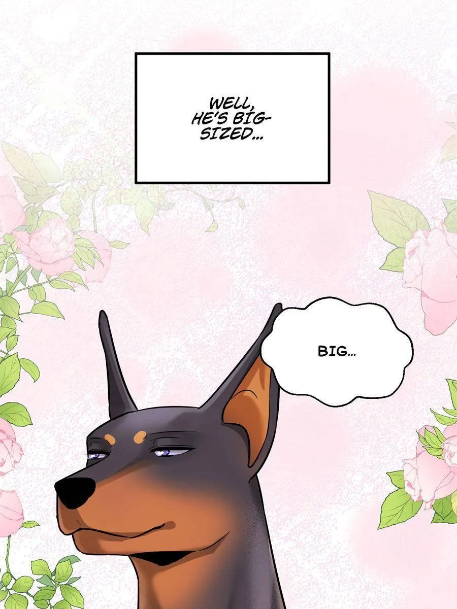 The Man Is A Real Dog Chapter 12 page 19 - 