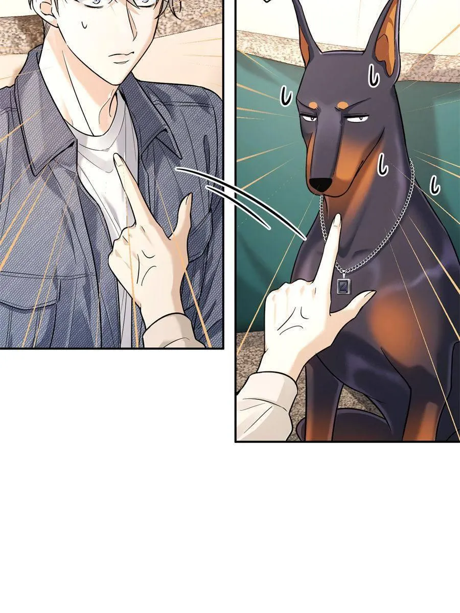 The Man Is A Real Dog Chapter 12 page 5 - 