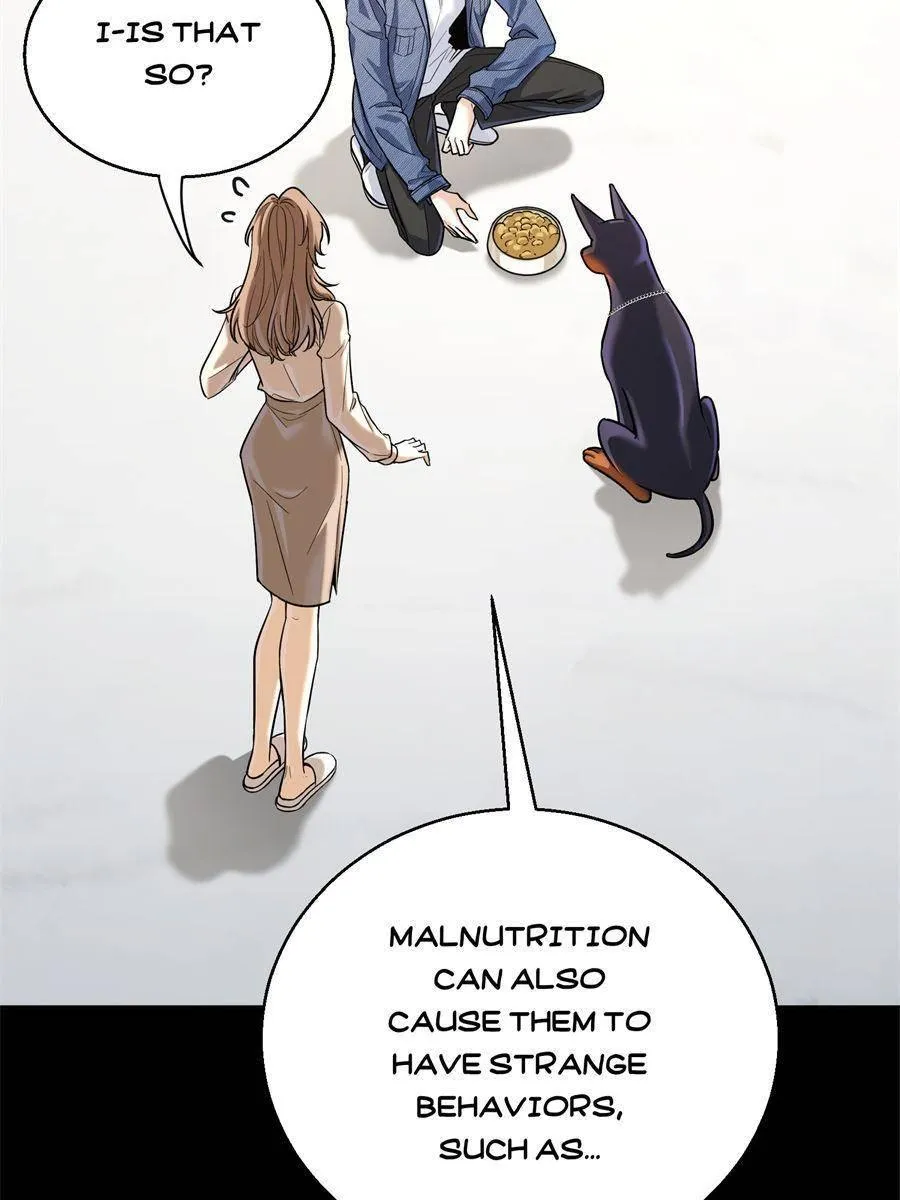 The Man Is A Real Dog Chapter 12 page 47 - 