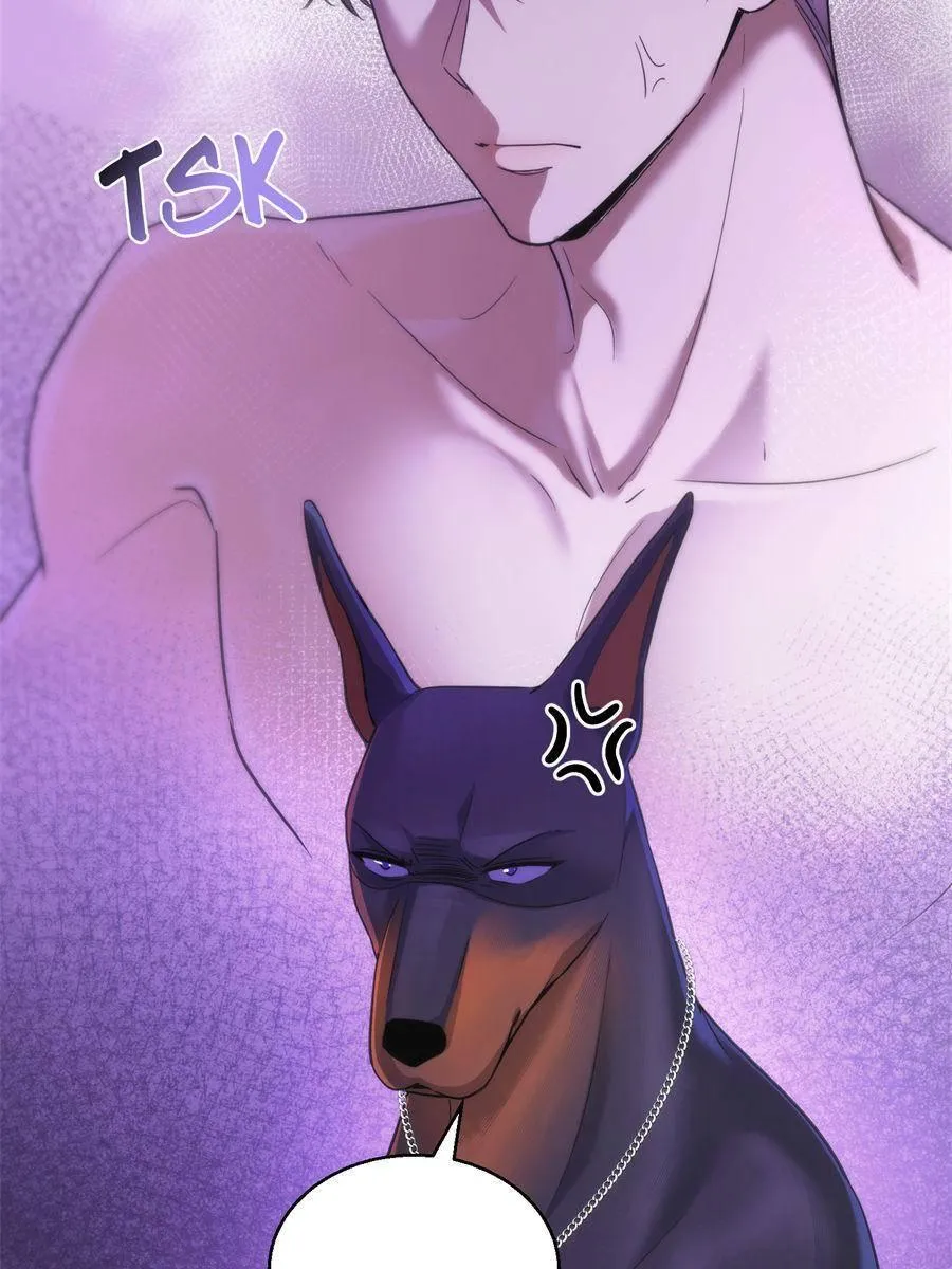 The Man Is A Real Dog Chapter 12 page 52 - 