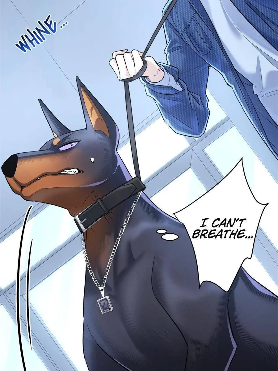 The Man Is A Real Dog Chapter 13 page 79 - 