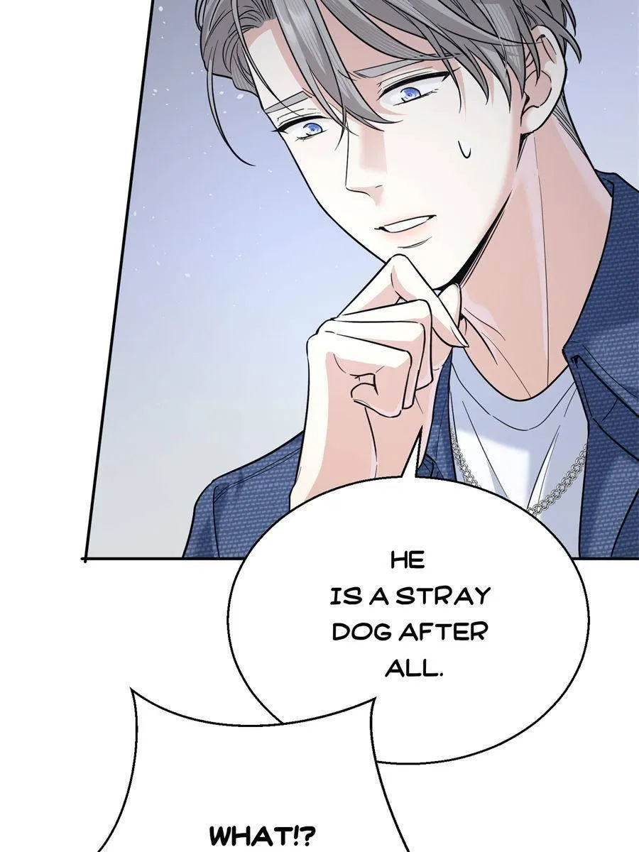 The Man Is A Real Dog Chapter 14 page 38 - 