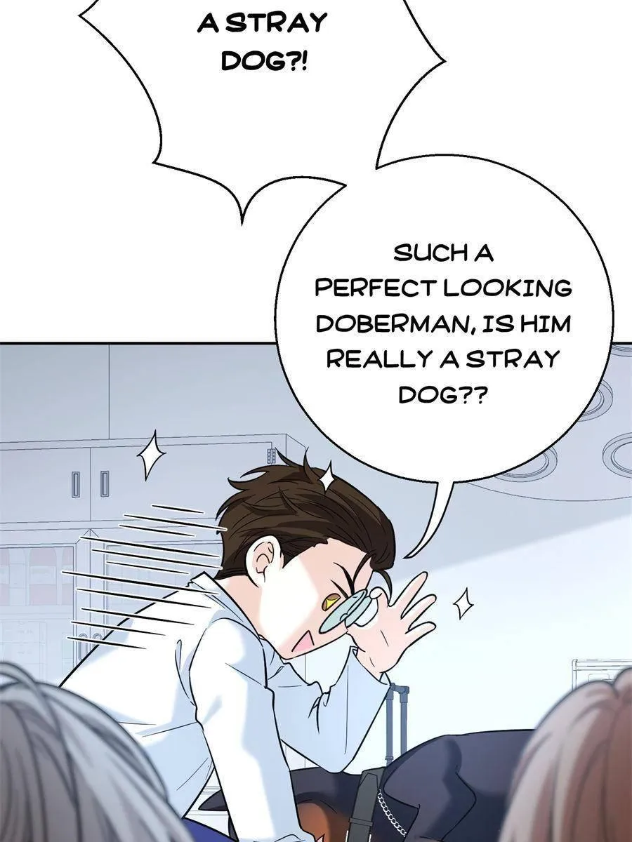 The Man Is A Real Dog Chapter 14 page 39 - 