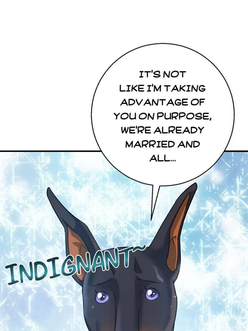 The Man Is A Real Dog Chapter 25 page 81 - 