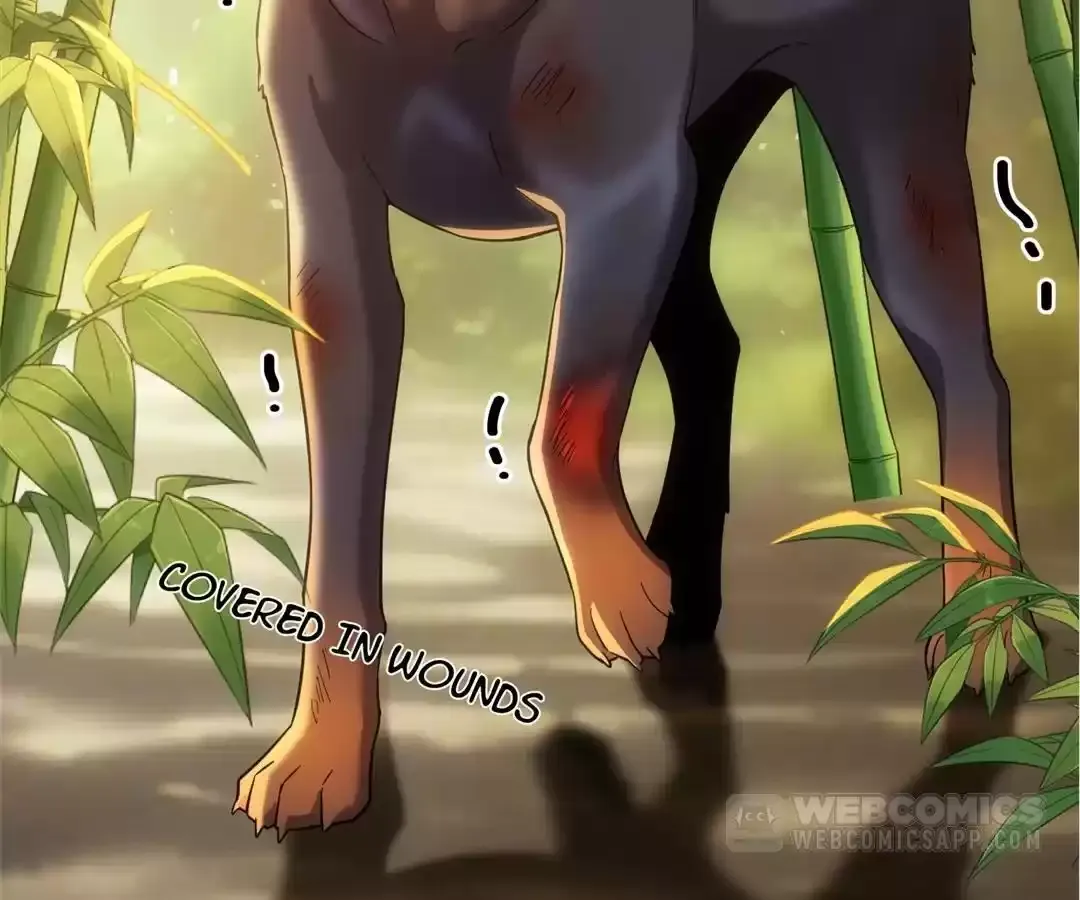 The Man Is A Real Dog Chapter 42 page 60 - 